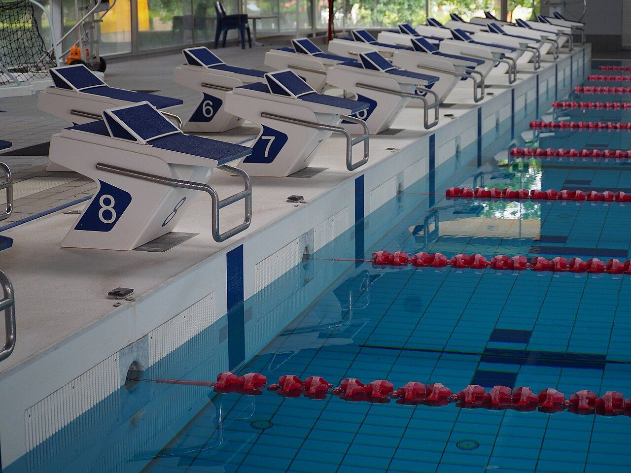 Numbered starting blocks above the timing touchpads at the end of a competition pool